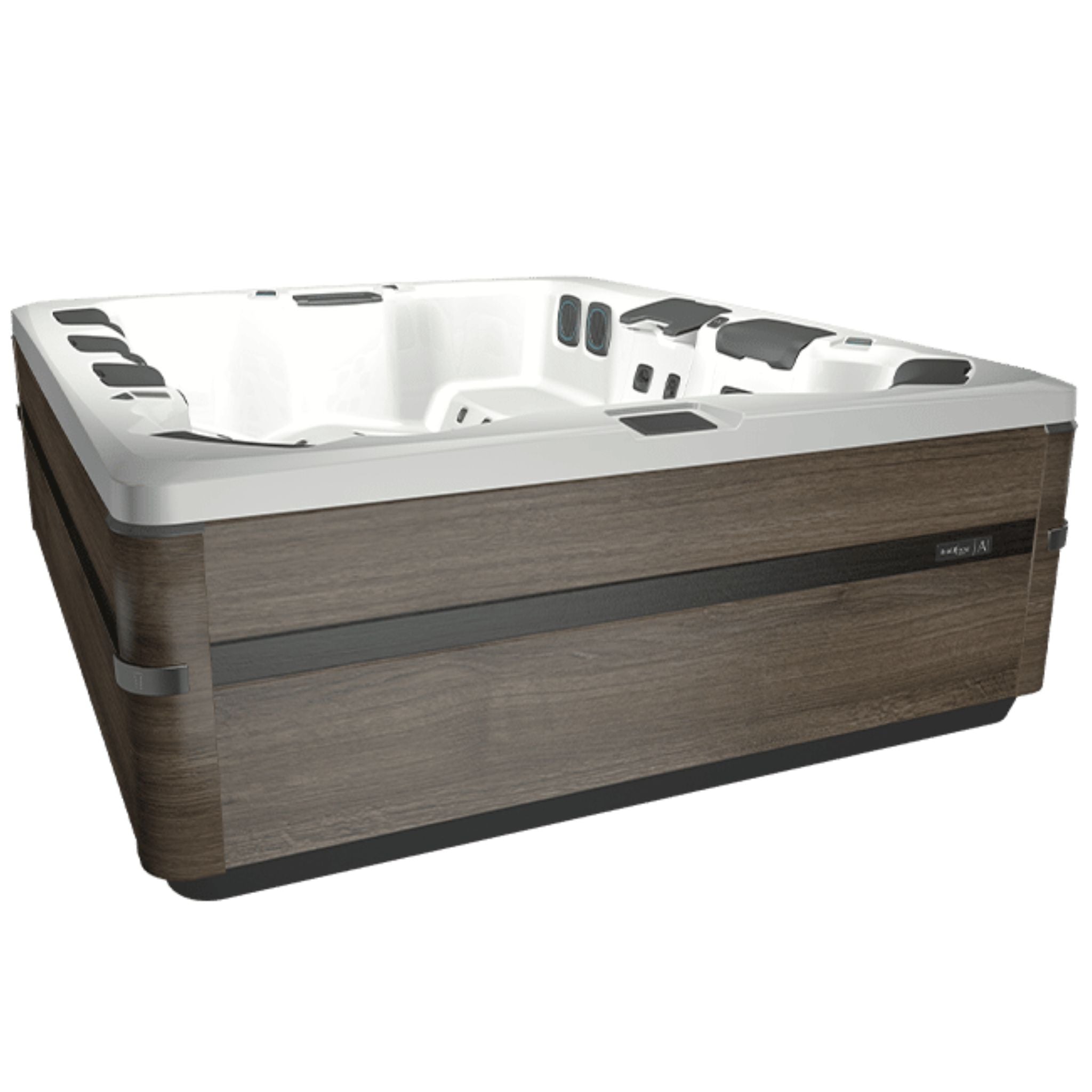 Bullfrog Spas A9L Hot Tub